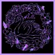 purple swan