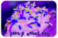 have a sweet day