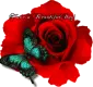 Have a beautiful day