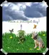 Have a peaceful day!