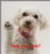 how are you doin
