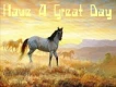 horse in a meadow