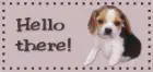 Cute Puppy Hello