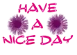 have a nice