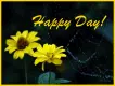 happy Day!