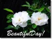 beautiful day!