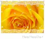 happy day!