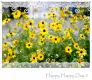 happy day!