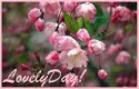 lovely day!