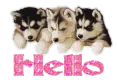 hello