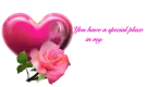 Special Place in my Heart