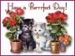 Have a Purrrfect Day!