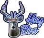 Hey Bro