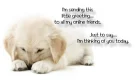 Online Friends Thinking of You