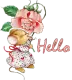 Hello