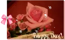 happy day!