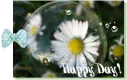 happy day!