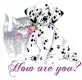 dog & cat