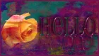 Hello rose