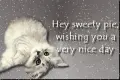 good morning
