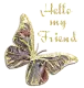 Hello my Friend