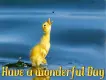 wonderful day