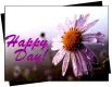 happy day!