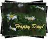 happy day!