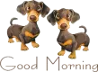 good morning