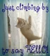 climbing by to say hello