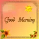 good morning