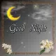 good night