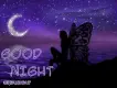 good night