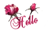 hello