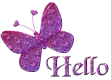 Hello Butterfly