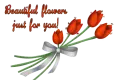 Beautiful Flowers just for you