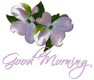 Good Morning