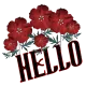 Hello