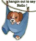 hello 