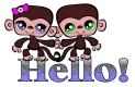 A Monkey Hello!