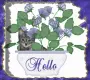Hello