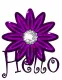 Hello
