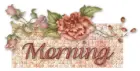 morning
