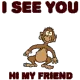 Hi Monkey