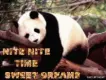 nite greeting