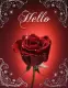 Hello with a Rose