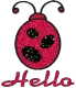 Hello Ladybug