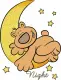 Night