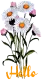 Hello