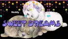 sweet dreams